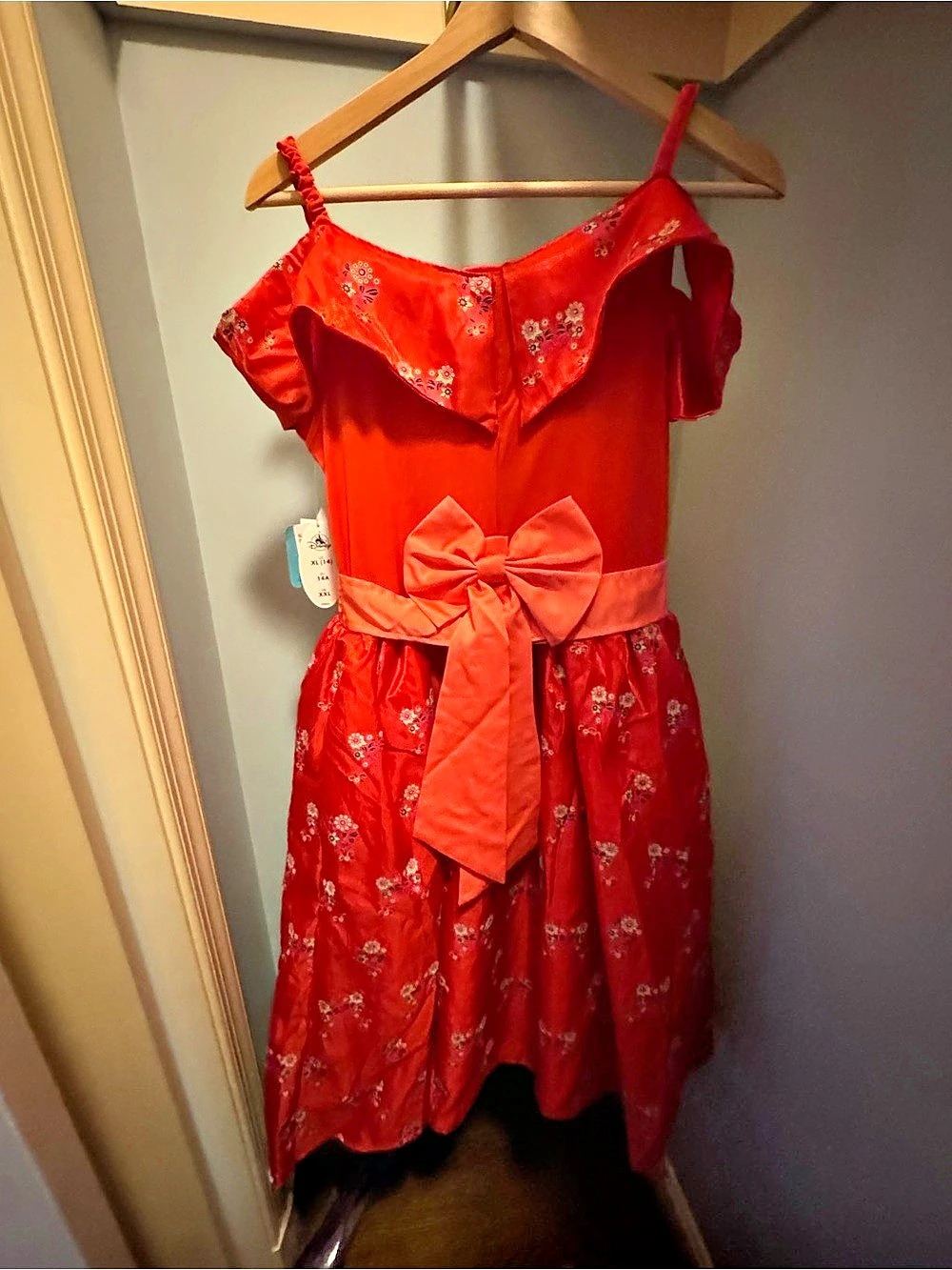 Disney Elena of Avalor Costume Dress Floral Red Girls XL (14).